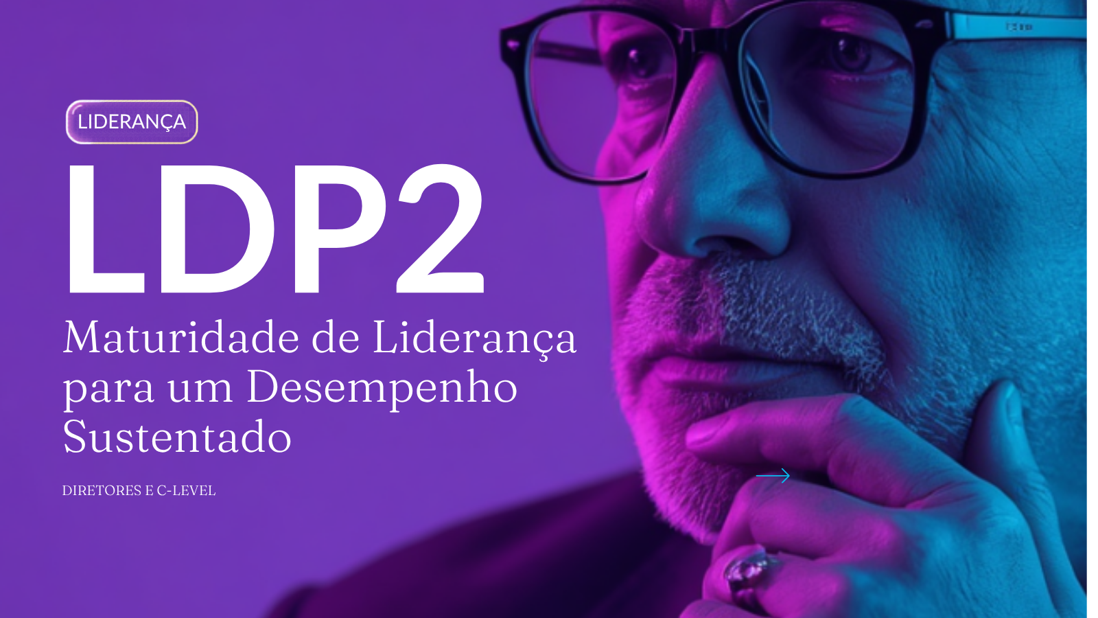 Capa LDP2